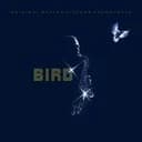Ornithology cover art