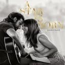 Shallow cover art